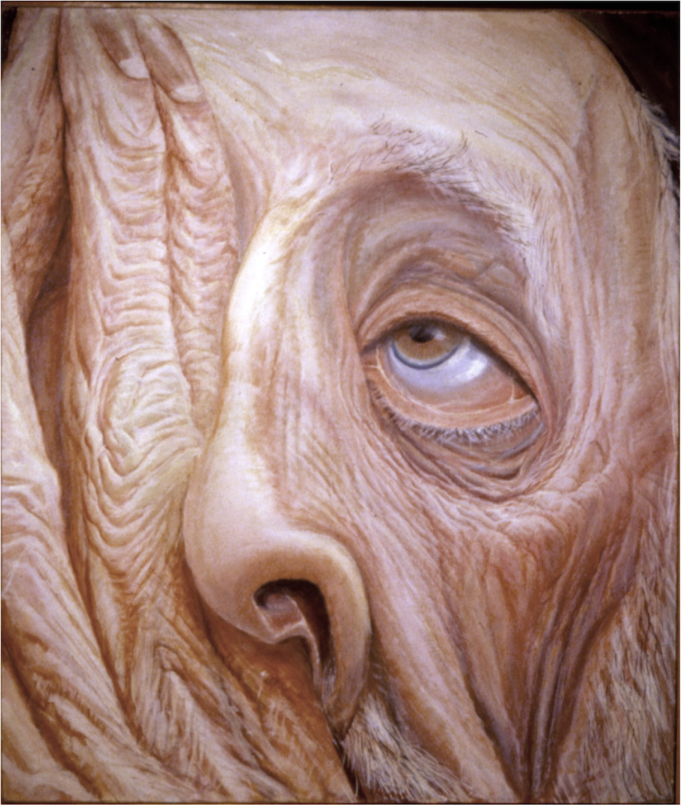 Rabbi, 1953, egg tempera on panel. A painting by Abe Weiner.