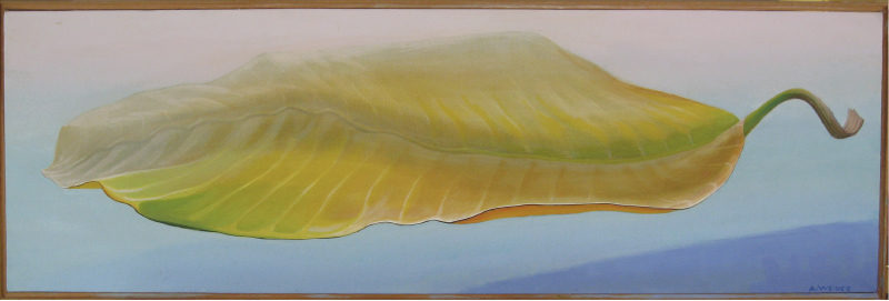 Falling Leaf